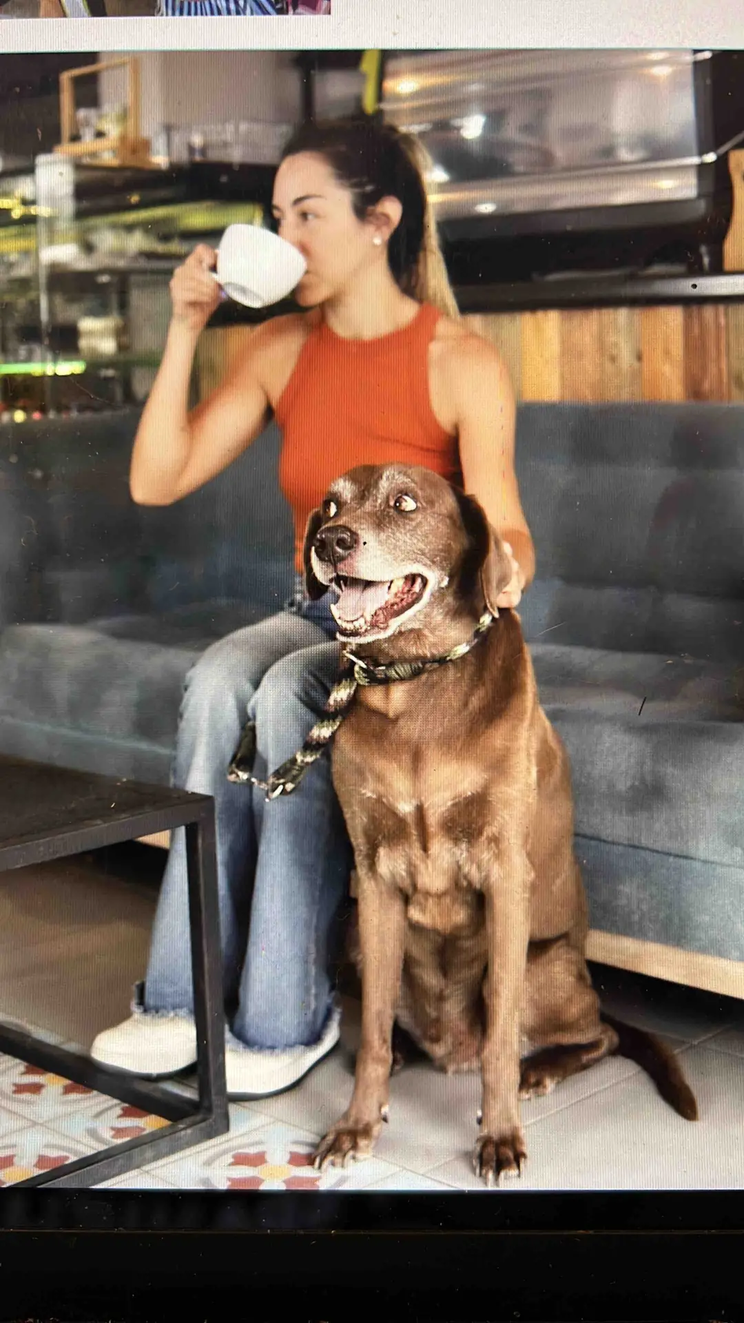 Pet Friendly Coffee Shop